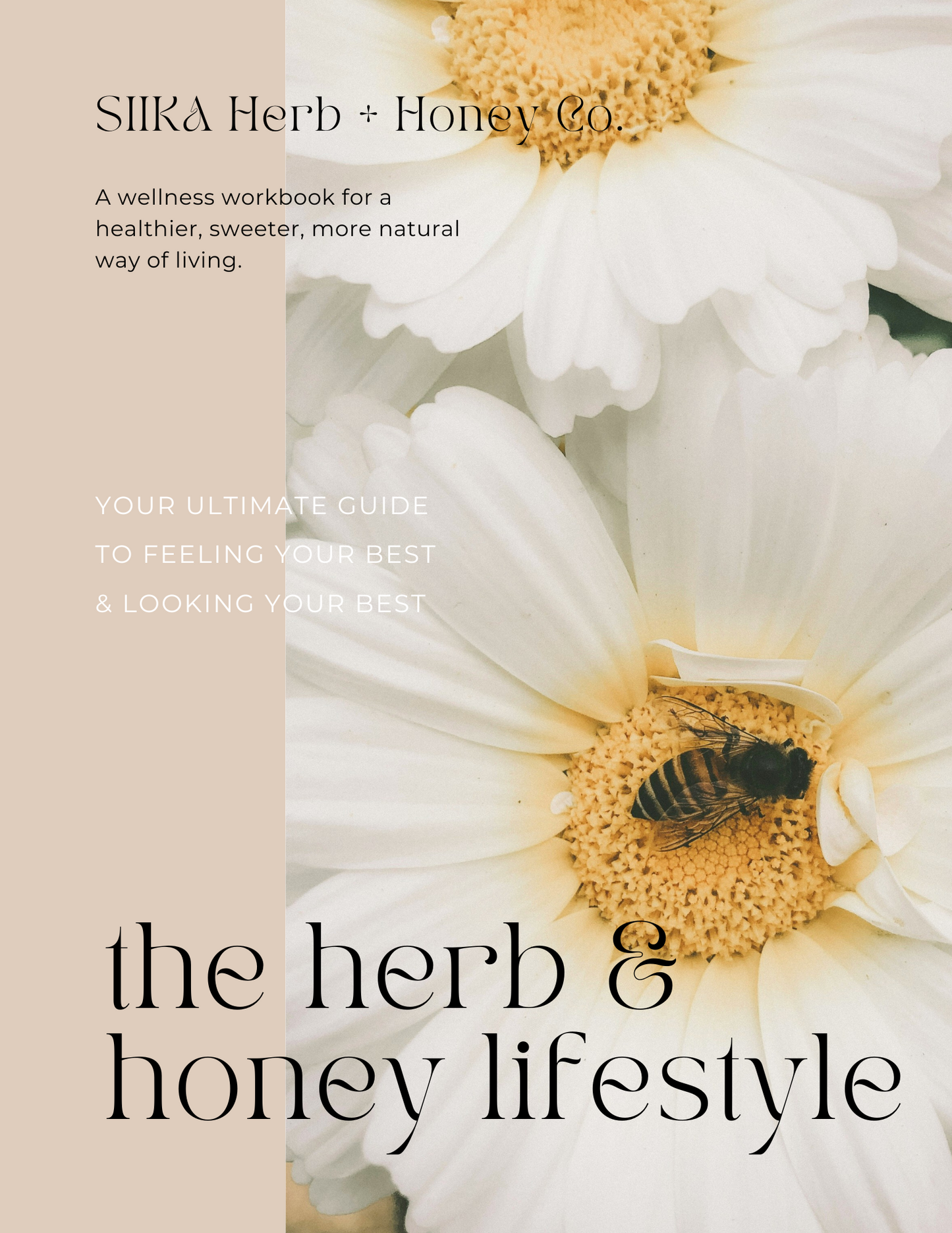 Glow Guide: Herb + Honey Rituals for Natural Beauty